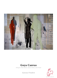 Goya Canvas 340