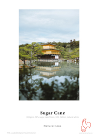 Sugar Cane 300