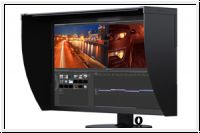 Eizo CG319X